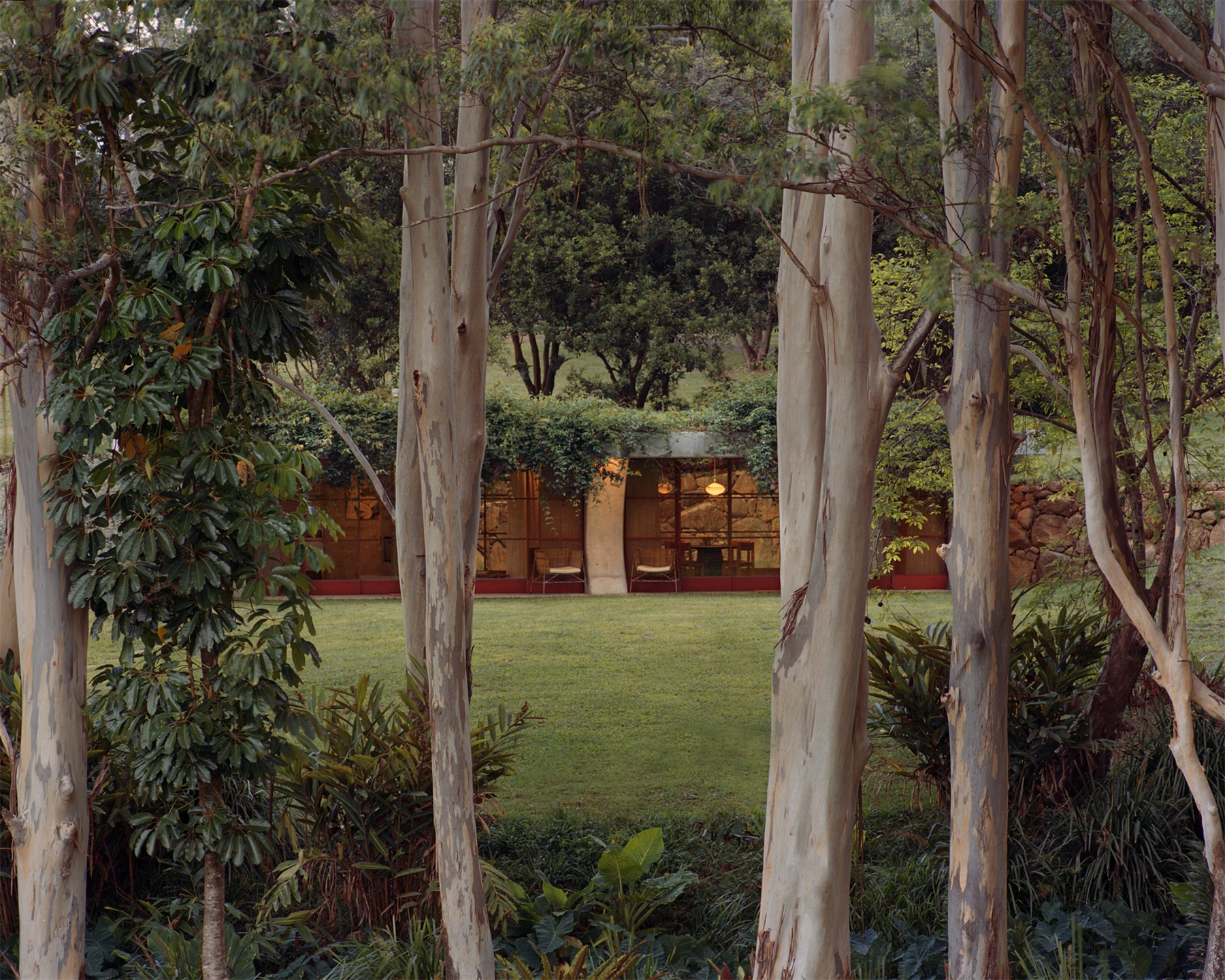 帕洛玛丨澳大利亚悉尼丨Fearon Hay-39