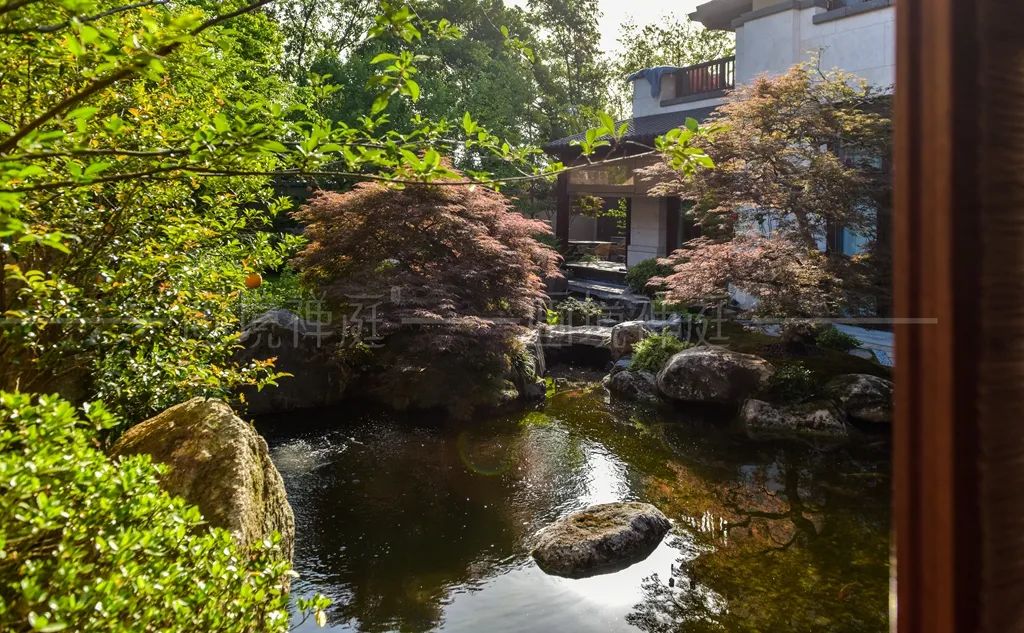 万科公望庭院丨草月流-17