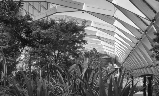 Crossrail「КэнериУорф」车站及屋顶商场与花园丨英国伦敦丨Foster+Partners,Gillespies,ARUP等-18