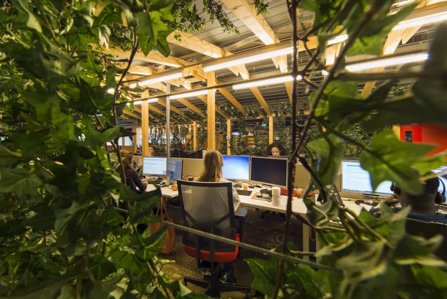 荷兰 VodafoneZiggo 呼叫中心-18