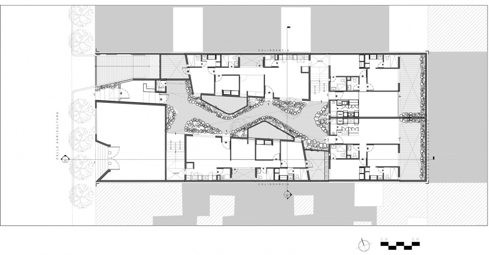 Casa Jardin Escandon 住宅综合体丨墨西哥墨西哥城丨CPDA Arquitectos-49