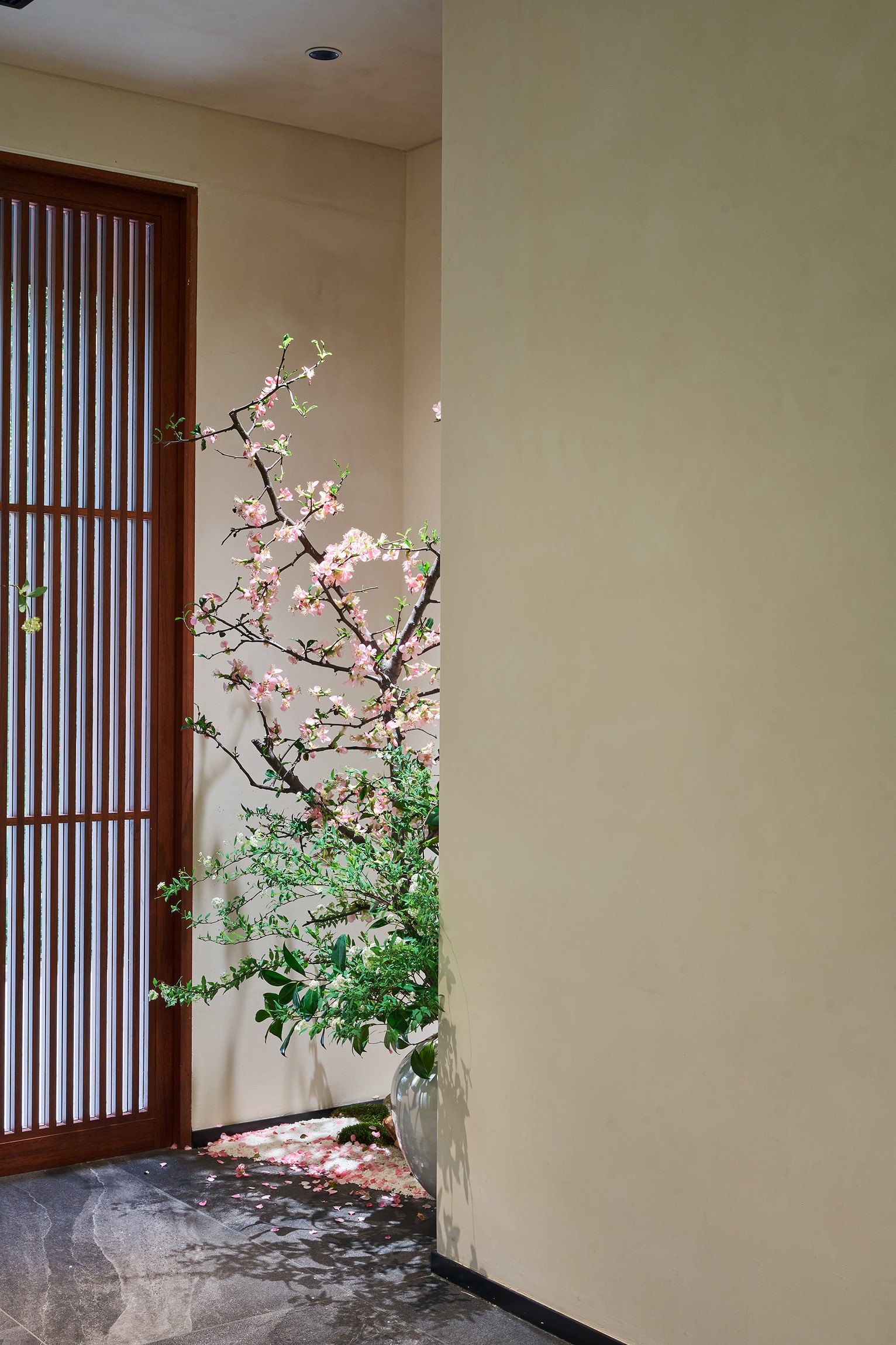 植物园里的烟火人间 杭州竹园里丨中国杭州丨力设计-23