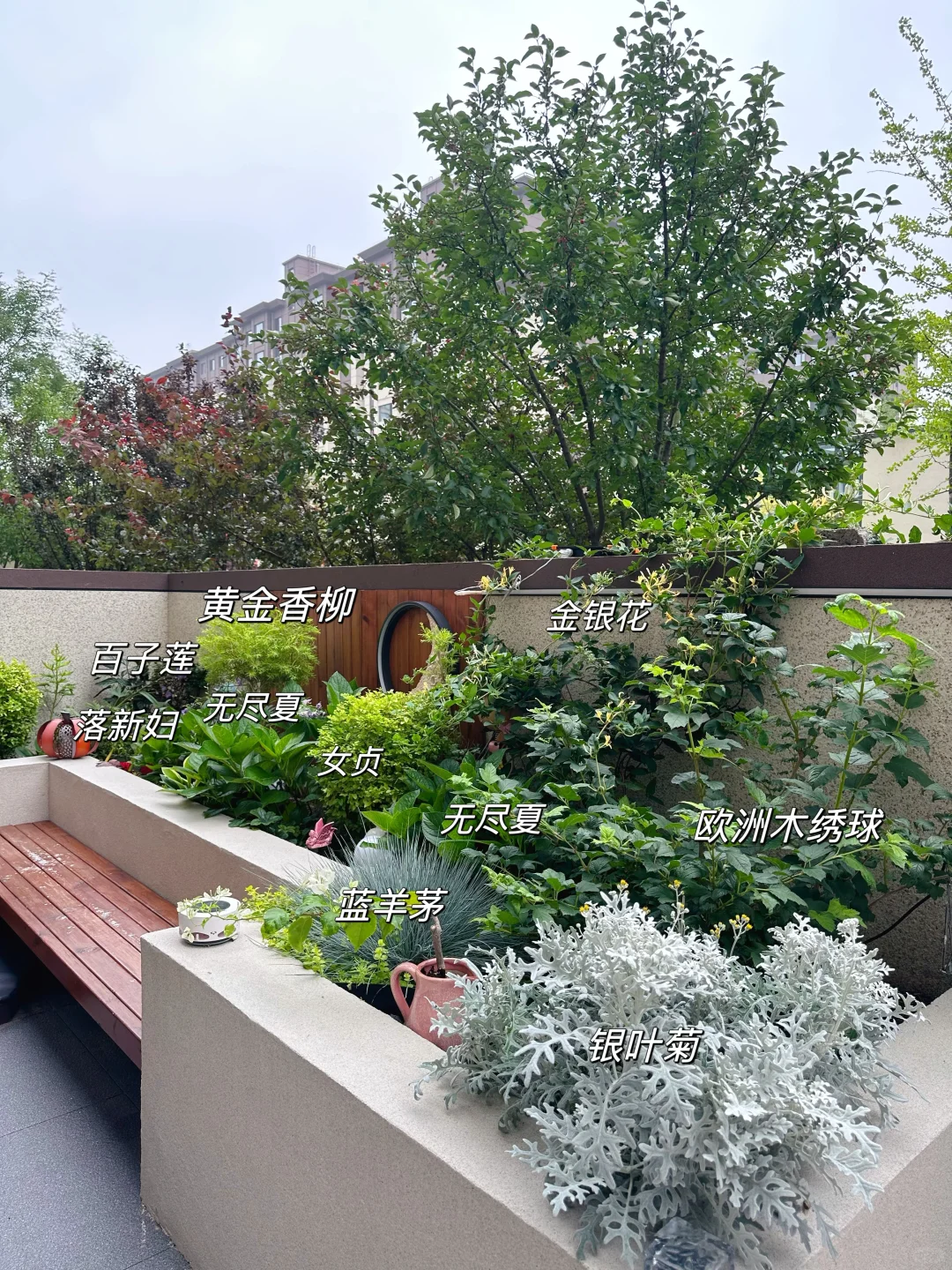 辽宁一女子的院子火了，拒绝过度布置，那叫一个高级，羡慕-21