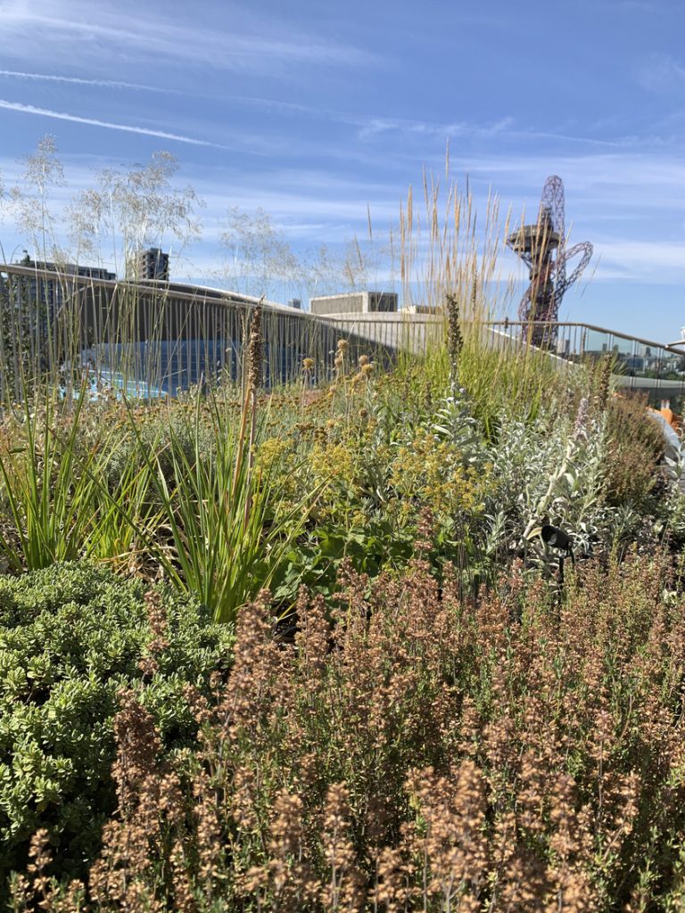 英国国际区景观丨英国伦敦丨古斯塔夫森·波特+鲍曼-6