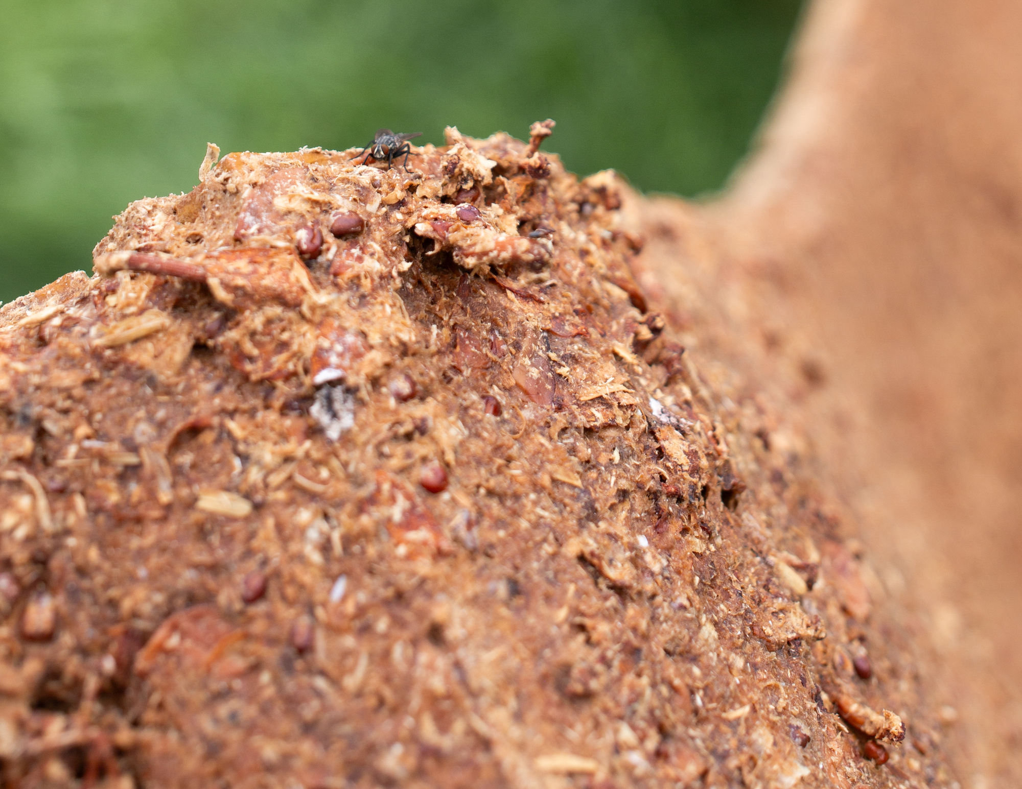 爪哇和果酱亭丨美国丨i,thee-35