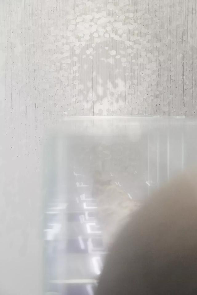 石头兄弟联创设计|天鹅飞过的地方，惊艳了时光。-37