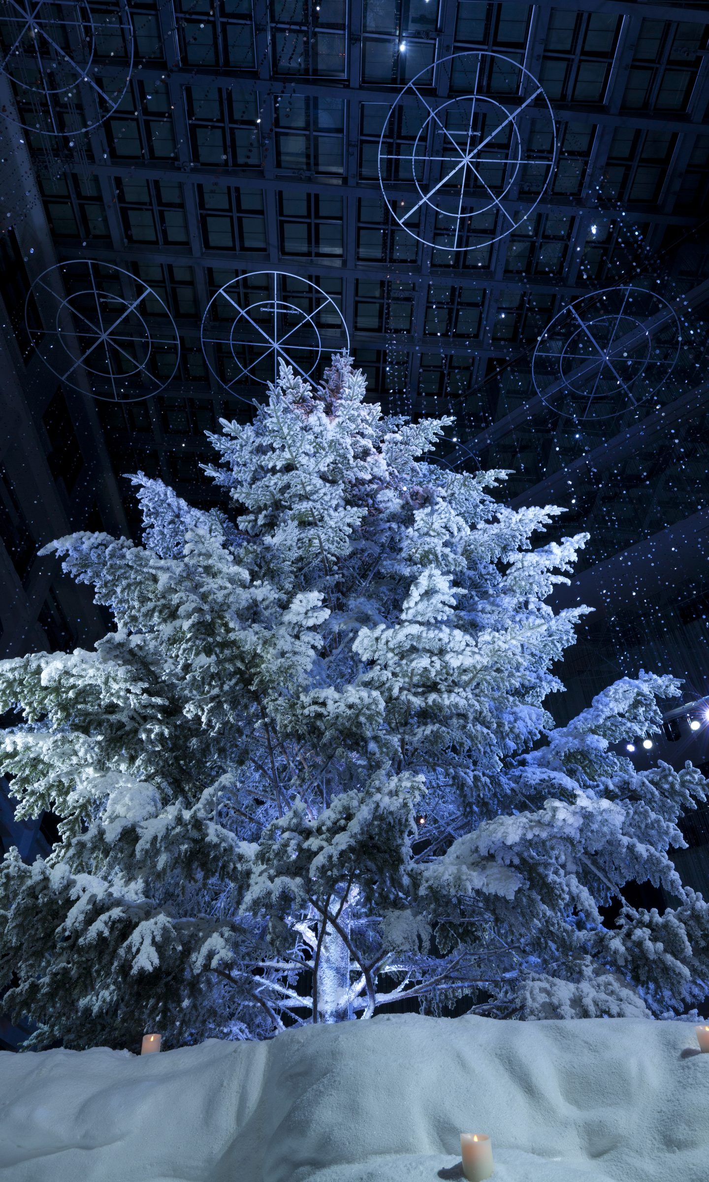 WHITE KITTE  Suppose Design-5