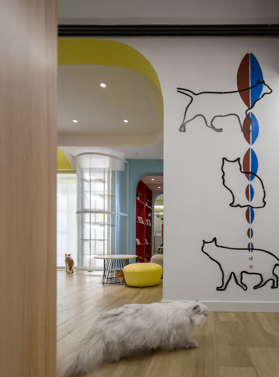 人宠雅居   48平方米高密度人宠的优雅混居-0