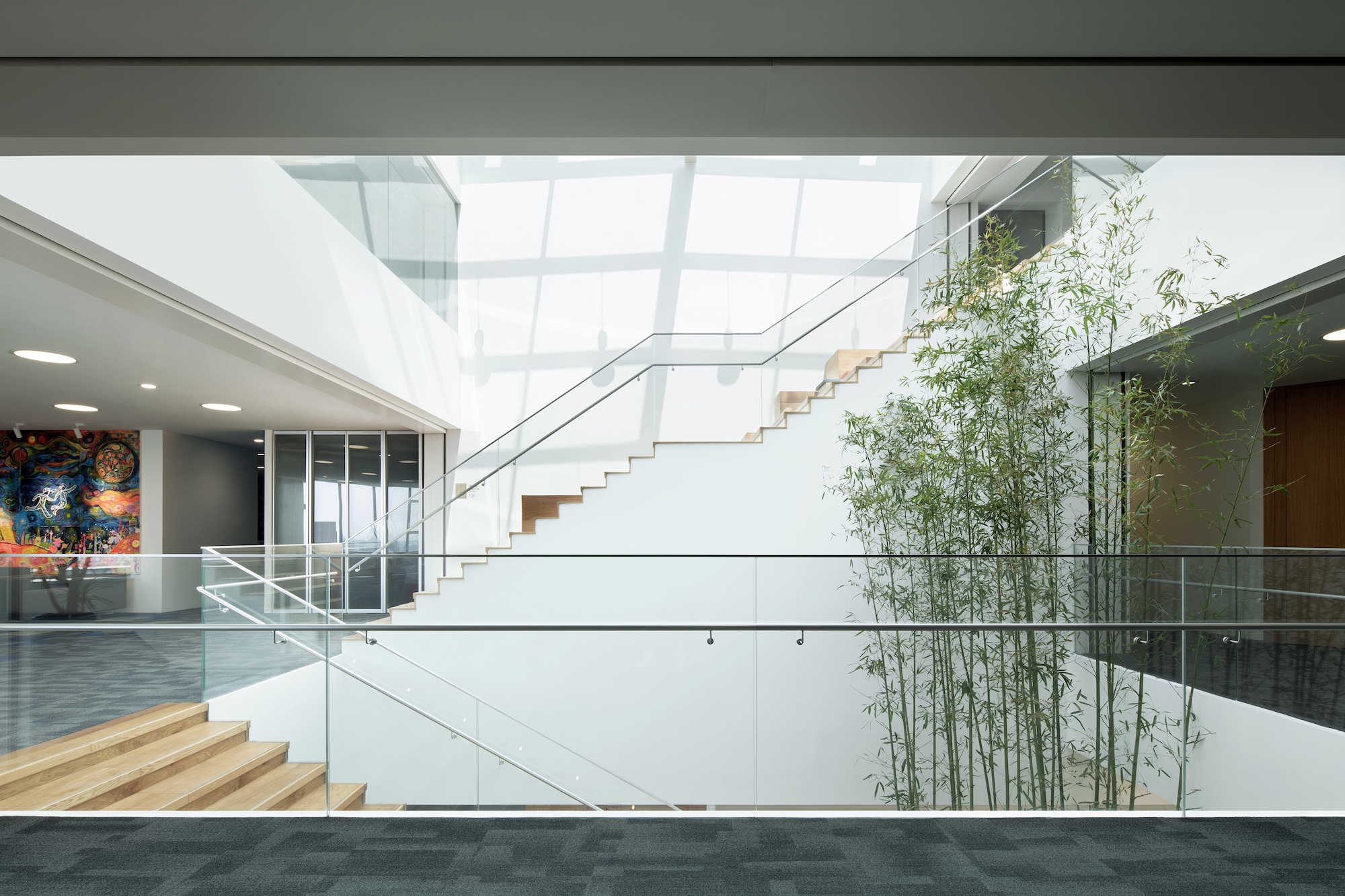 自然而然：老建筑里的办公空间再生 / CPLUS希加建筑 -4