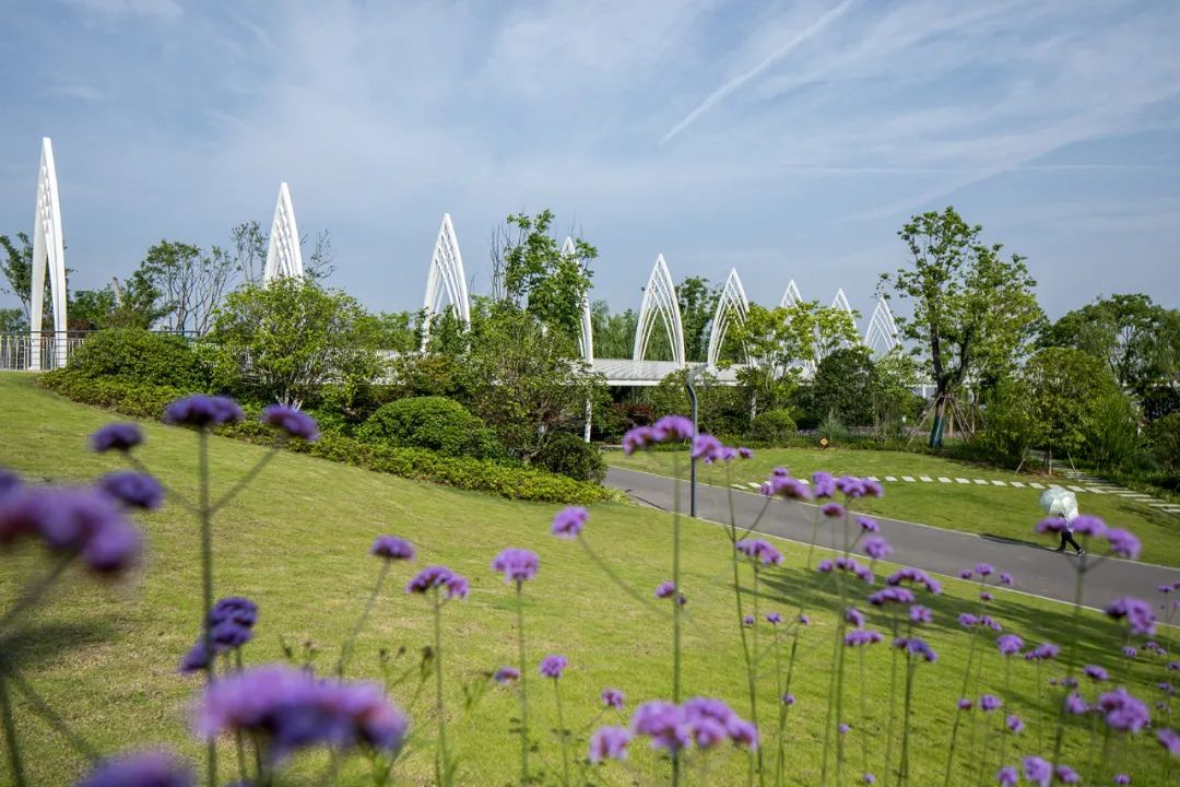 武汉青山婚礼堂——建筑与景观一体化设计-51