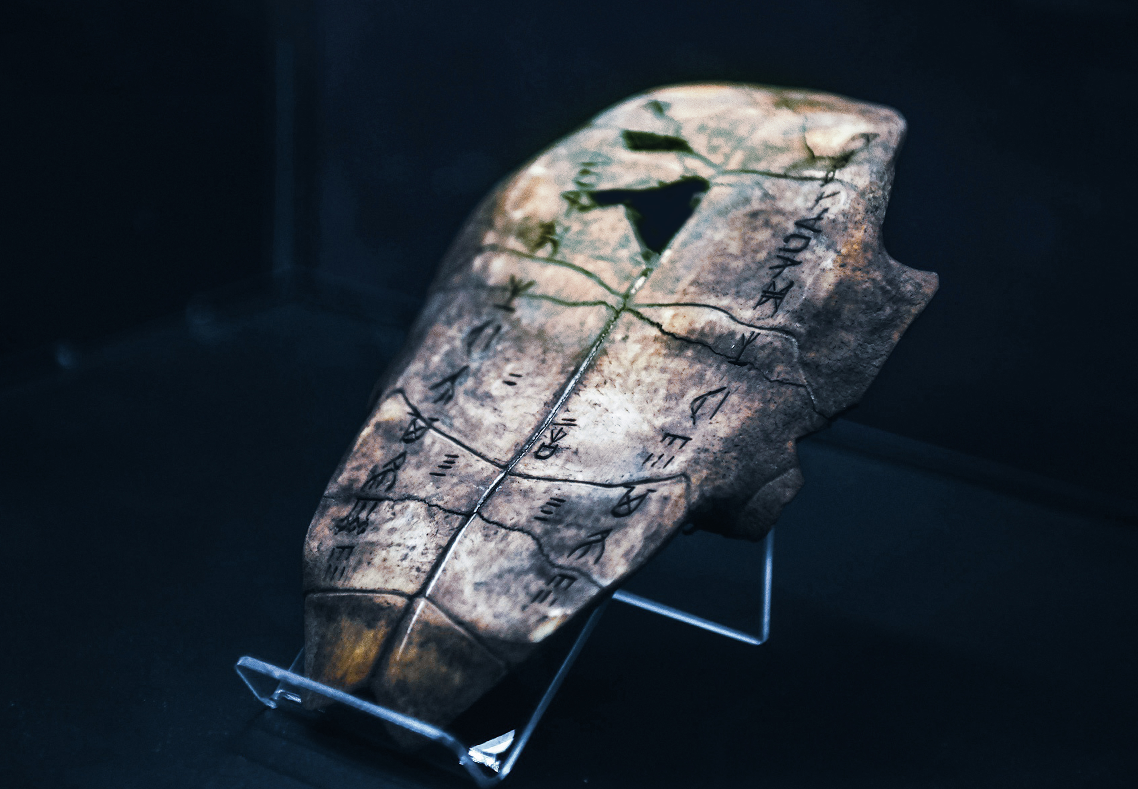 天津国图津湾“阅·文字长河”公益项目丨中国天津丨阅文集团和不是美术馆-22