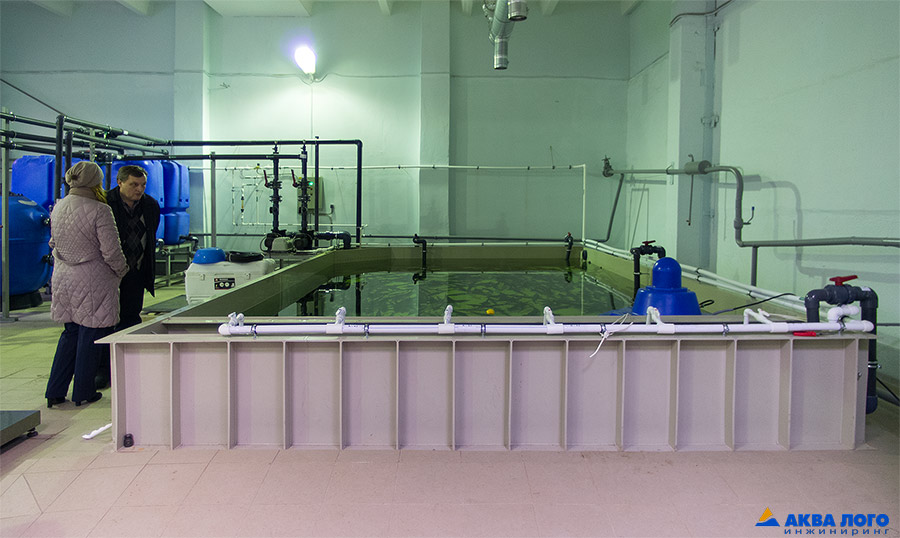 活鱼预销售存放装置安装项目丨Аква Лого инжиниринг（水徽工程公司）-6