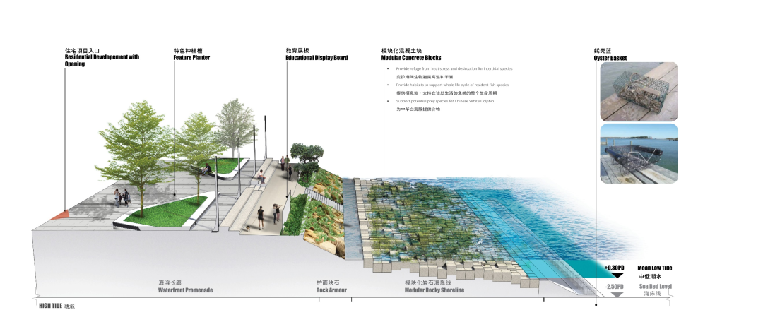 东涌东海滨·东涌新市镇扩展区的亲水和生态友善海滨项目丨中国香港丨AECOM-24