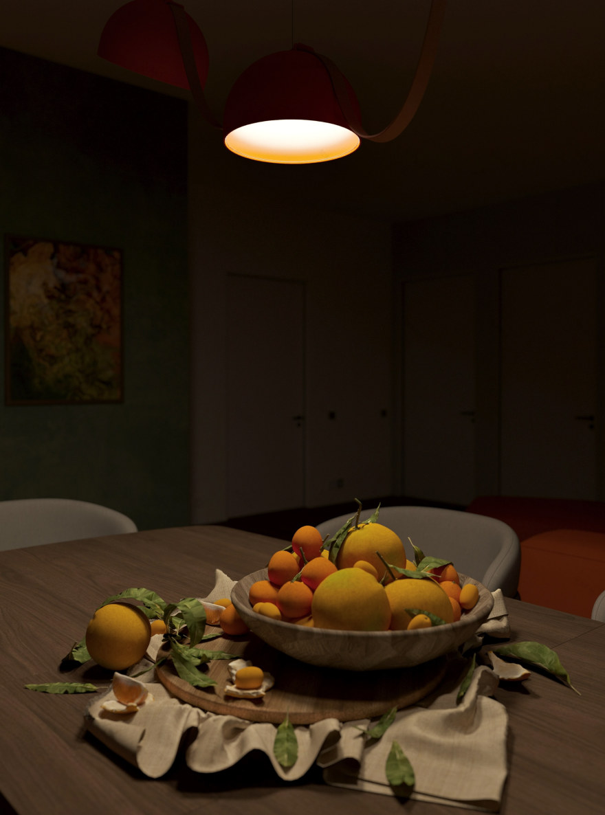 年轻情侣公寓设计项目丨乌克兰基辅丨Diana Chehaieva-23