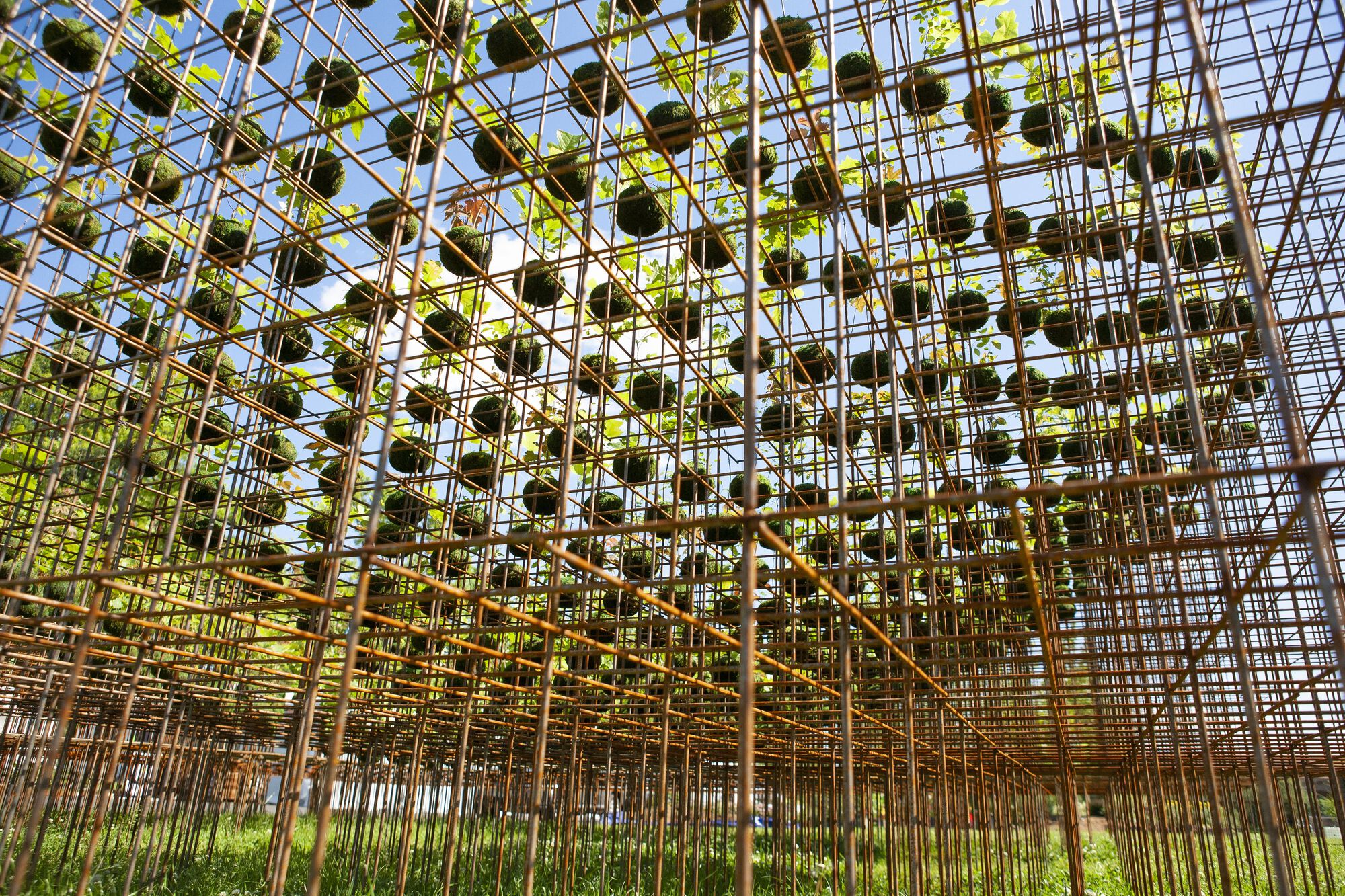 Kokedama Forest Installation，可持续微型森林雕塑-12