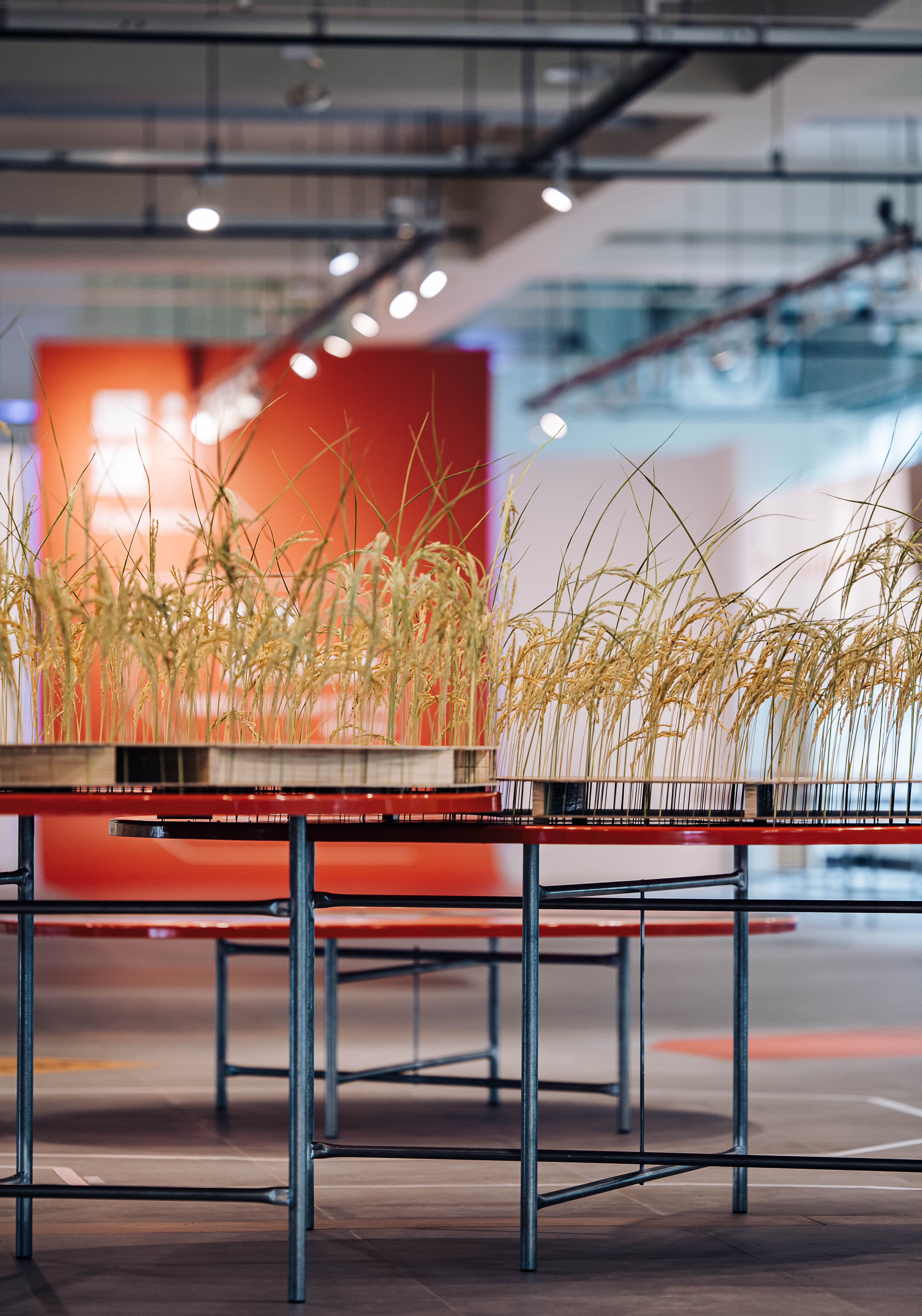 2022 屏东热带农业回顾展丨Atelier Boter-30