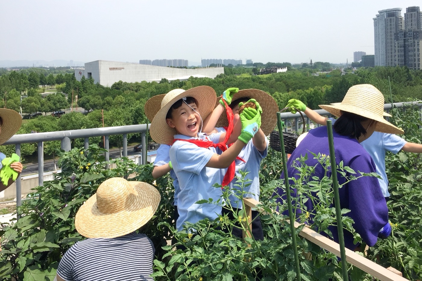 南京志远外语学校天空之园丨中国南京丨南京林业大学风景园林学院团队-33