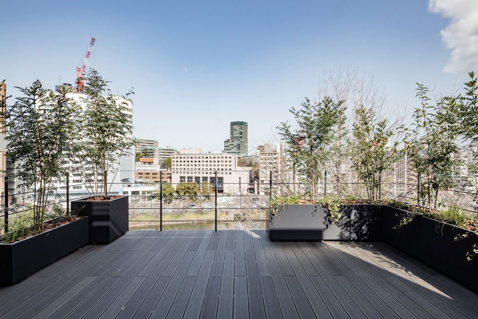 东京 ESCALIER 五番町办公楼 | 绿色阳台与城市景观相融-8