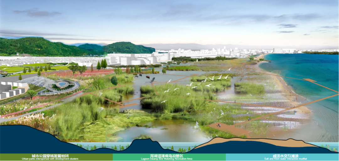 森林、海洋、顽石与璞玉丨惠安县青山湾至西沙湾沿海片区（滨海大道两侧）城市设计-35