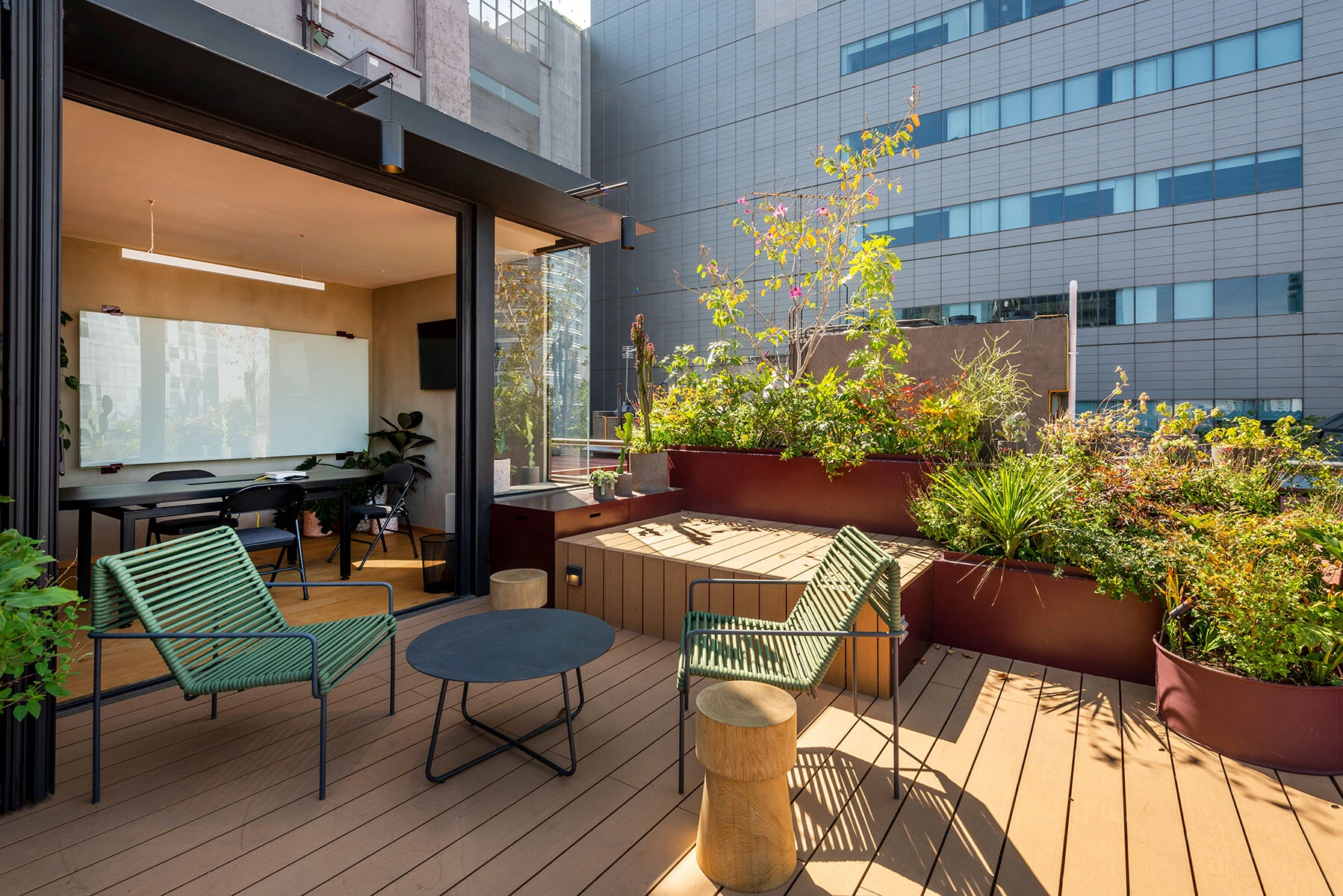 墨西哥城繁忙大道上的空中办公室改造-42