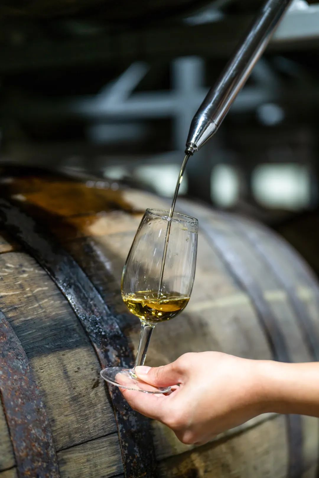 象山心舟·度假酒店丨中国丨己合设计-62