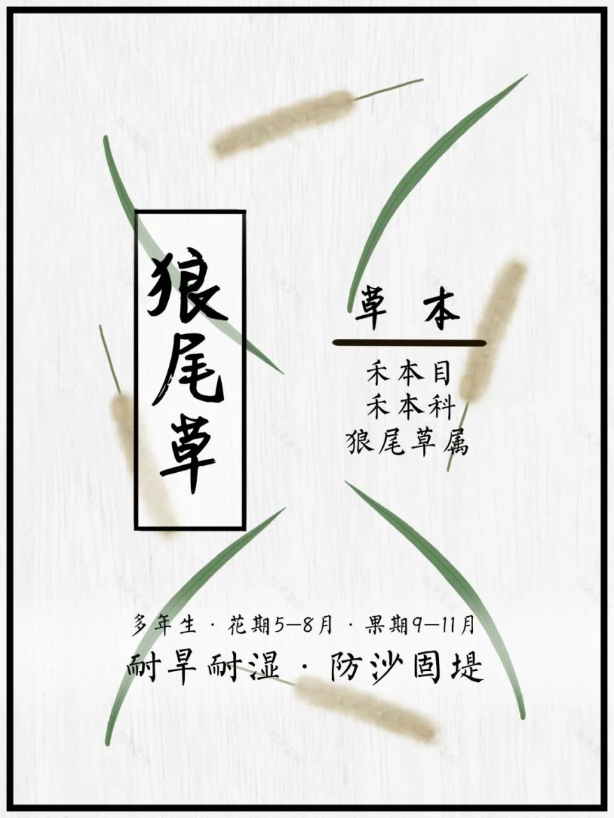 广汽丰田生态园·工业绿色风景线丨普邦设计-62