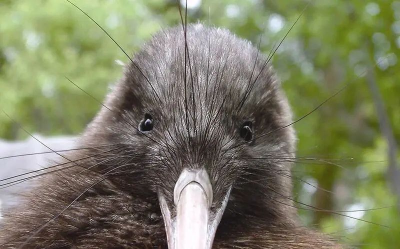 野花农场度假村丨美国纽约丨Auberge Resorts Collection-73