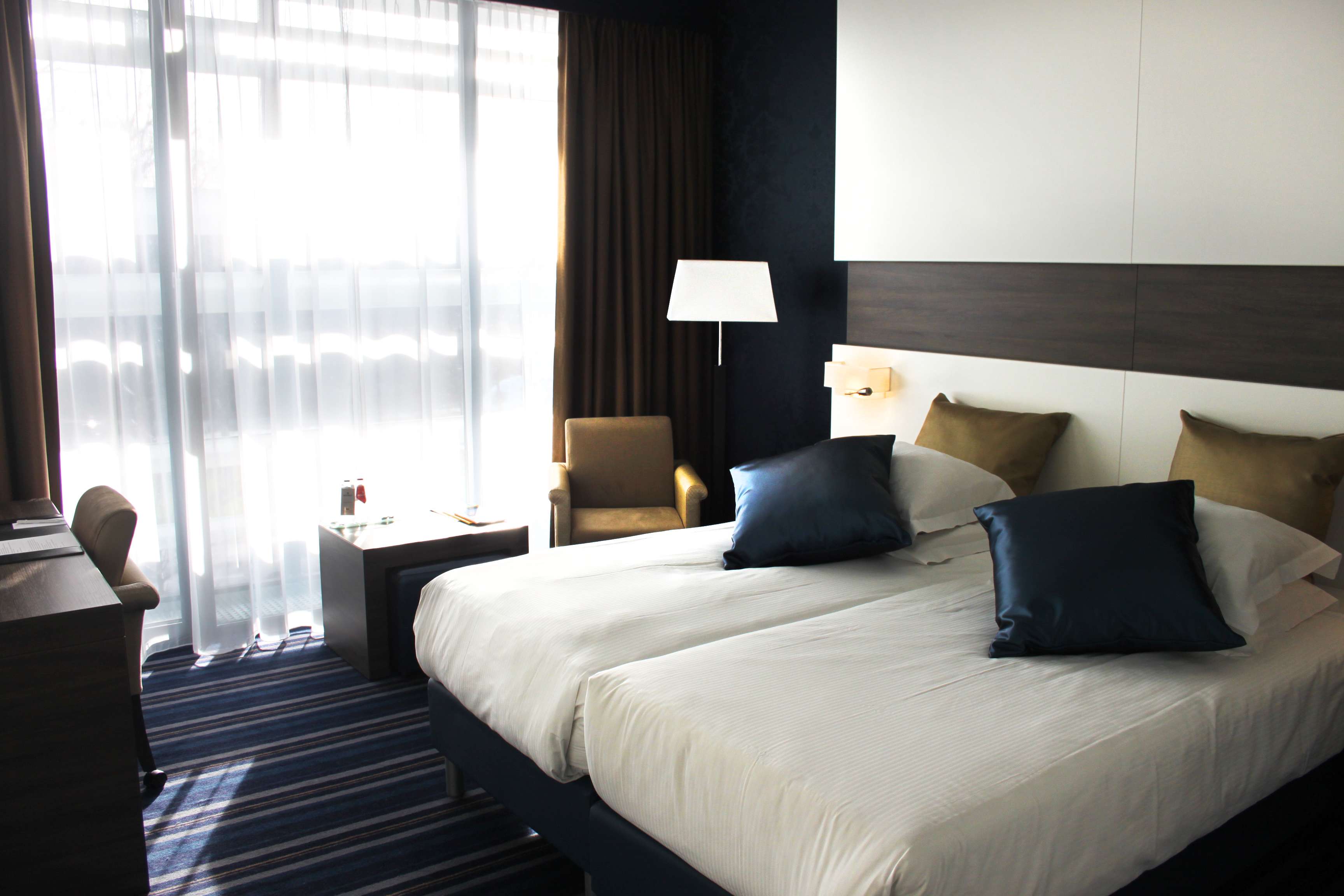 荷兰海牙皇冠假日酒店(摄影图片)-11