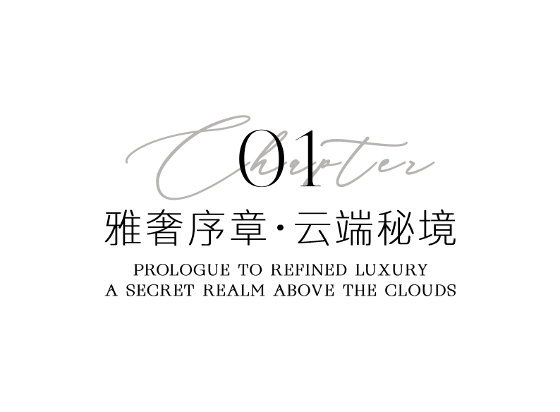 岁宝壹品丨中国深圳丨万相无形-3