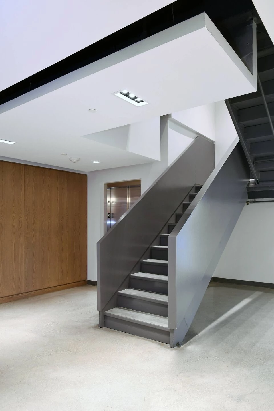 Park Lawn Dog Daycare-35