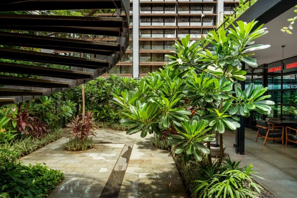 啤酒花园丨印度丨Studio Lotus 与 Studio Vikhroli 合作-44