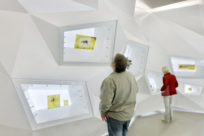 梅塞尔采石场游客中心丨德国-69