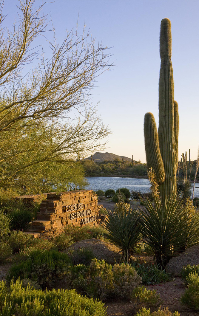 Desert Mountain, AZ Residential Architecture Project-20