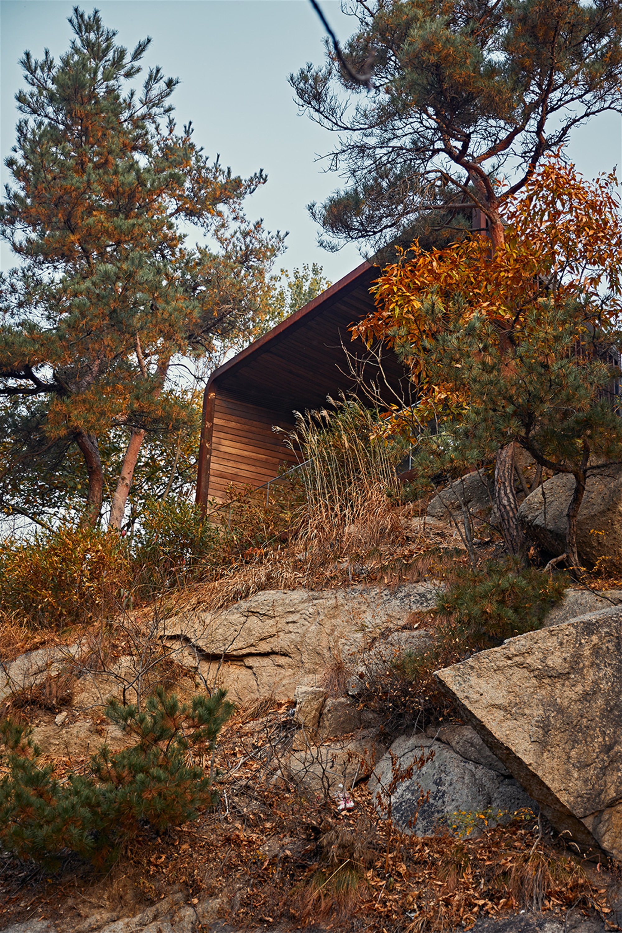 昆嵛山国家级自然保护区基础设施设计项目丨大小景观团队（Atelier Scale）-192