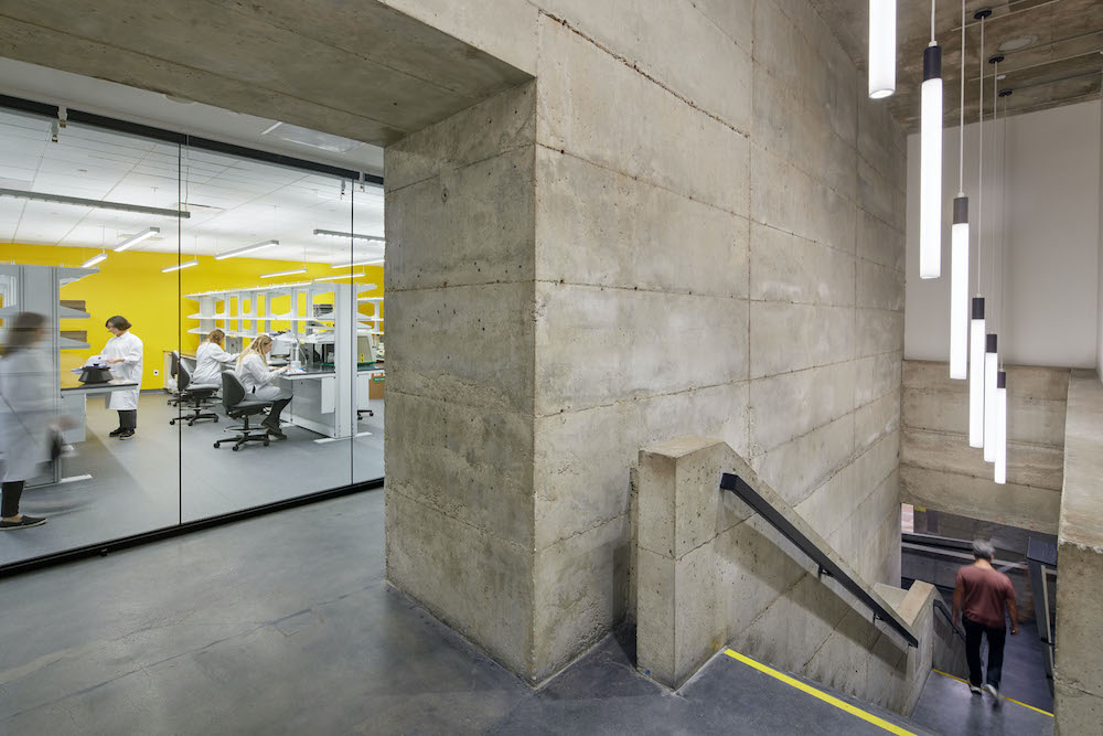 巴卡尔生物工程创新中心丨H ARCHITECTS-30