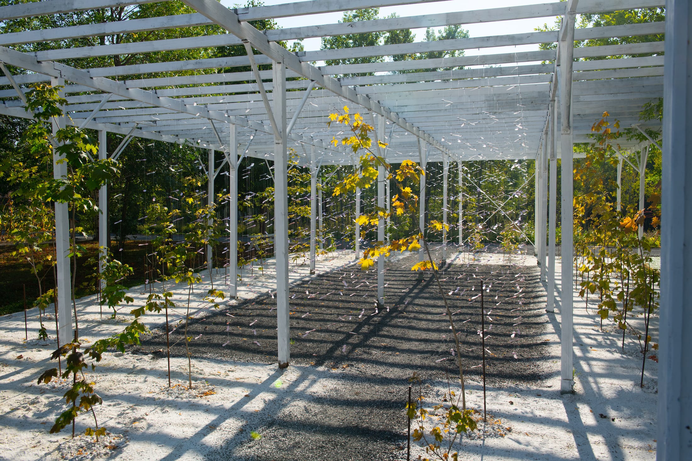 2019 加拿大国际花园节 | 彩色“岩石”结构装置引人入胜-31