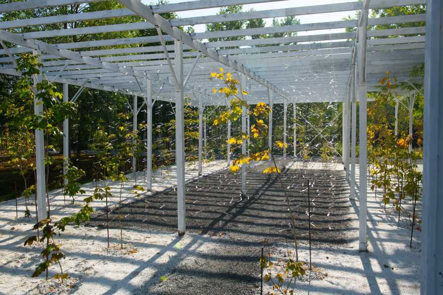 2019 加拿大国际花园节 | 彩色“岩石”结构装置引人入胜-31