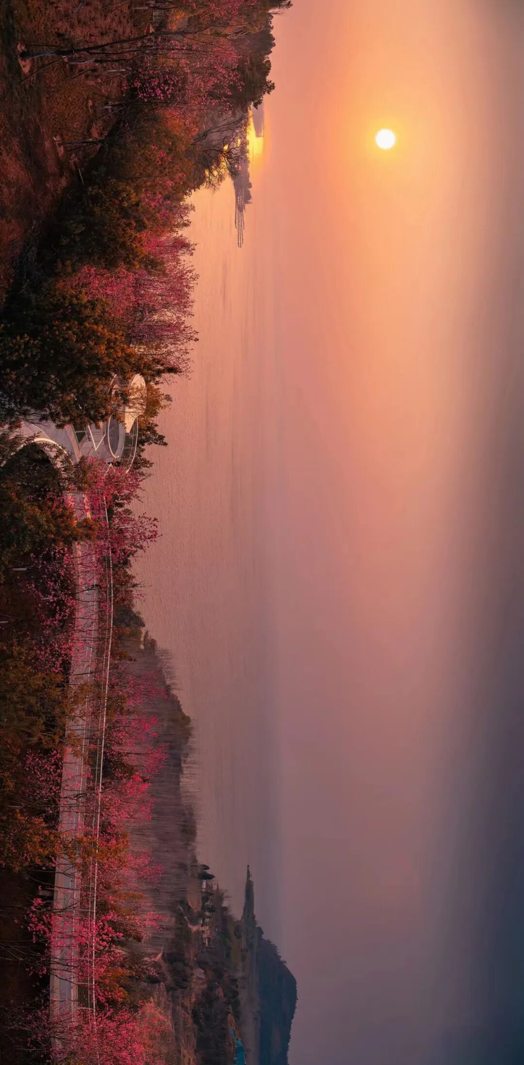 【中规作品】春城新画卷——滇池绿道之春日请柬-60