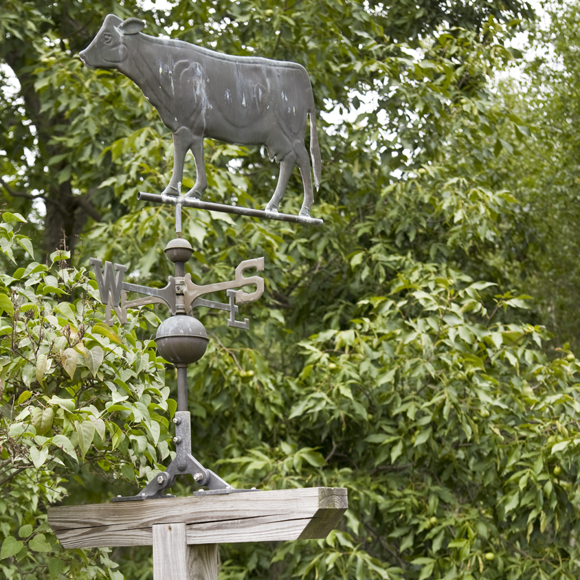 派克郡百年农舍的优雅新生-18