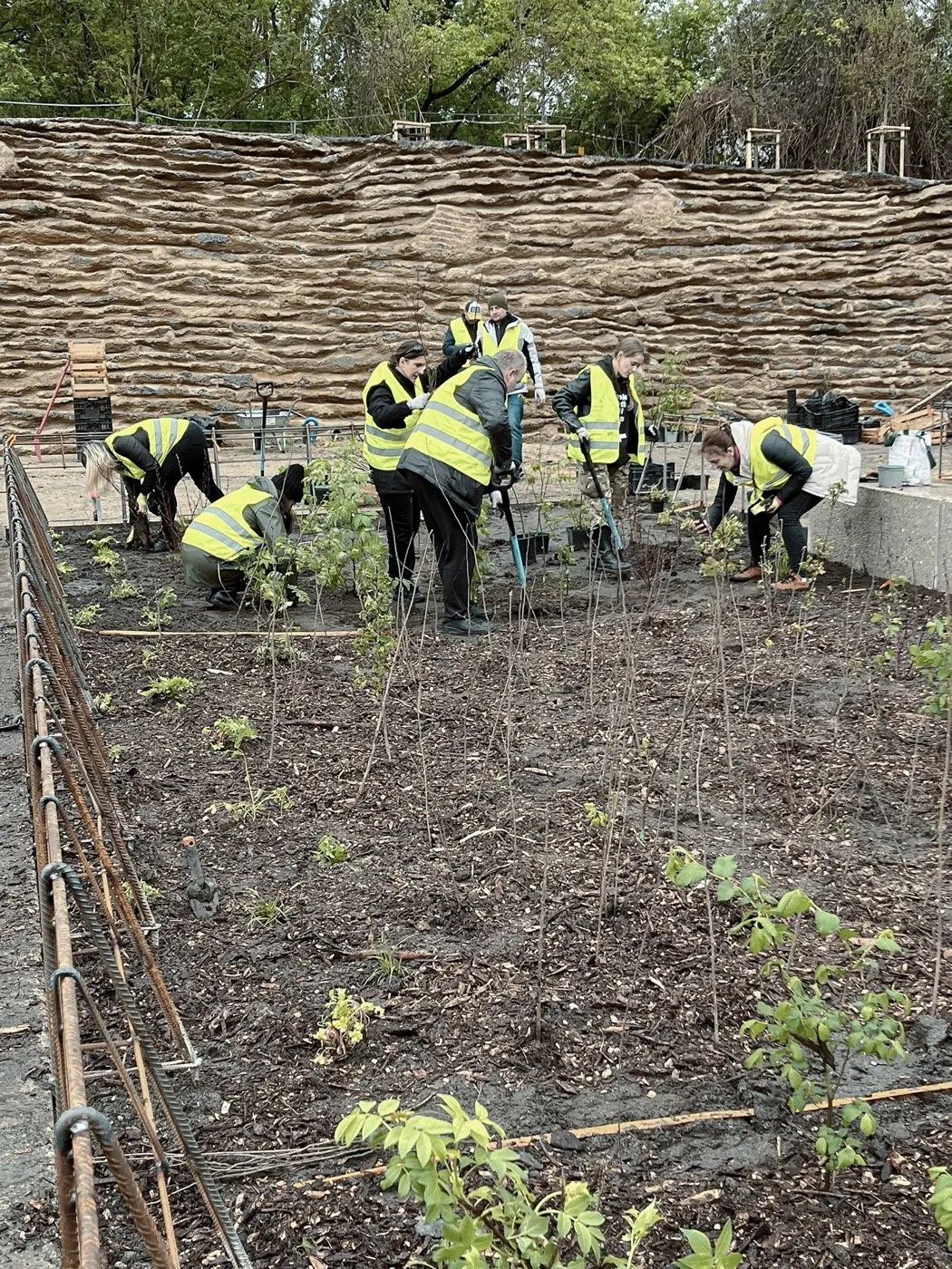 华沙起义丘公园丨波兰丨archigrest与topoScape设计工作室-24