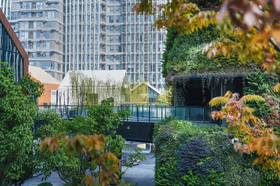 南京证大喜马拉雅中心丨中国南京丨建筑设计MAD Architects,景观设计EADG泛亚国际-33