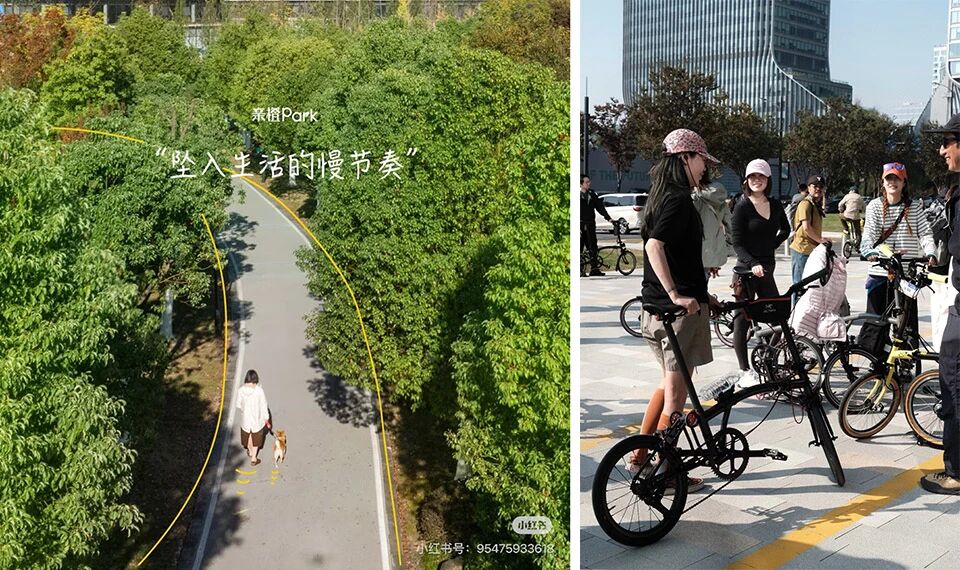 CEOL · OFF丨中国杭州丨杭州观堂室内设计有限公司-22