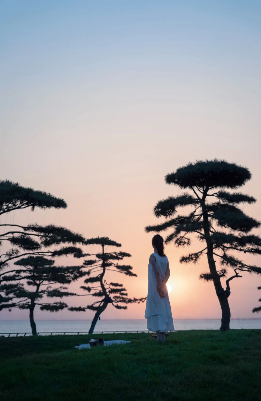 松林浪屿，海岸逐光丨青岛 · 云上观海-119