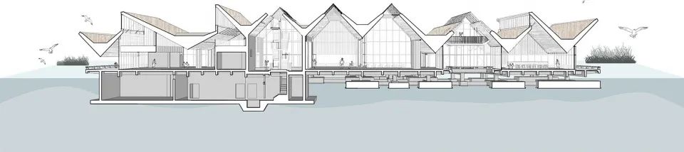 "一体两面"的崇明东滩湿地科研宣教中心-232