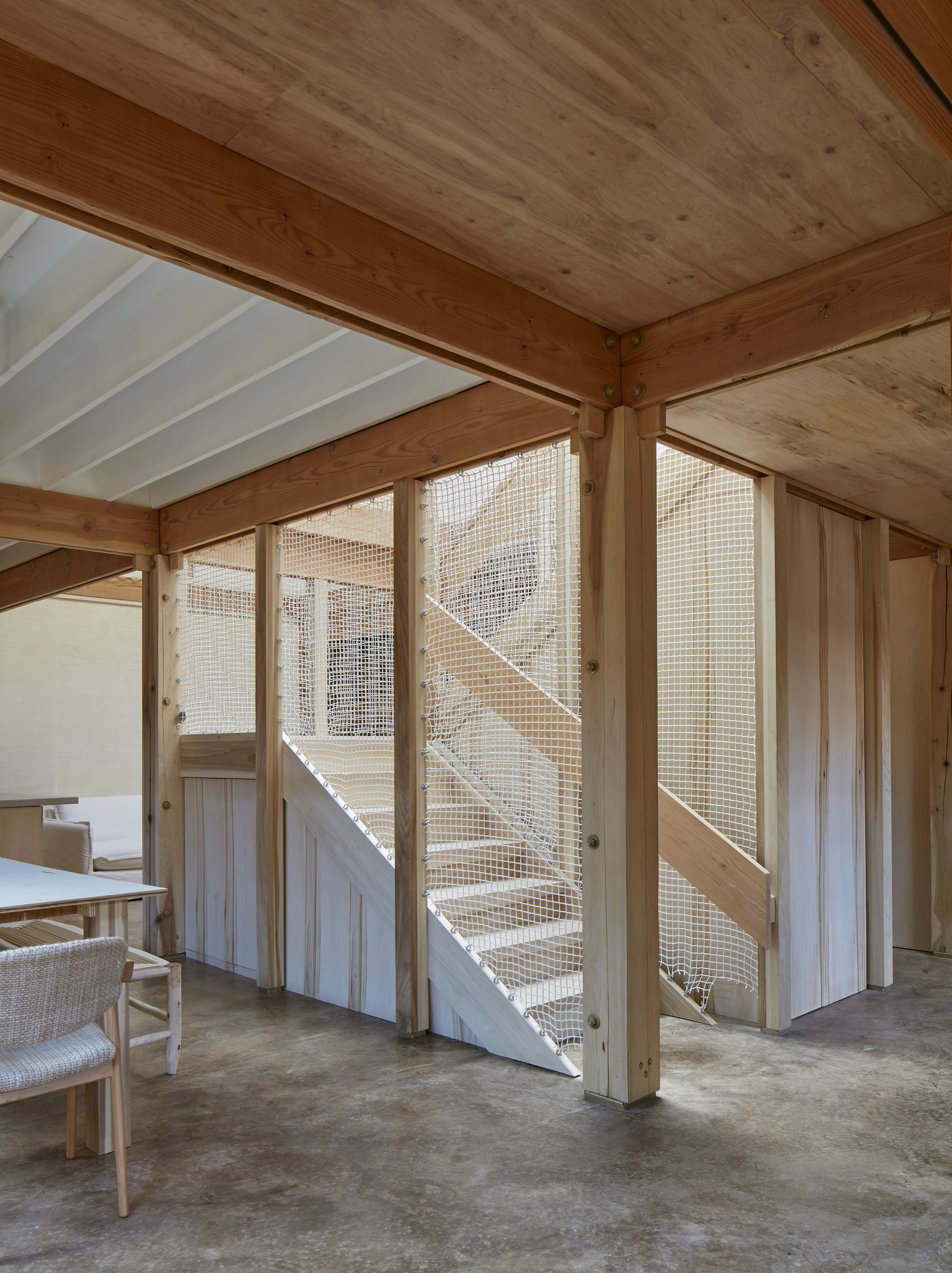 杨树丛丨美国华盛顿丨BLDUS-50