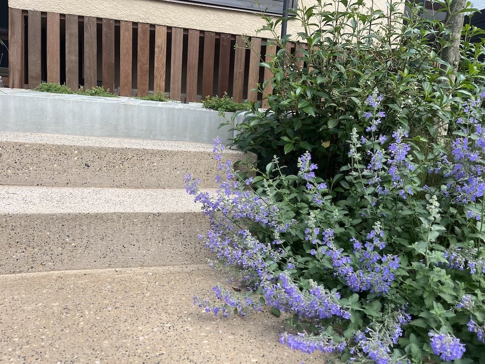 大田区的共享厨房庭院改造-26