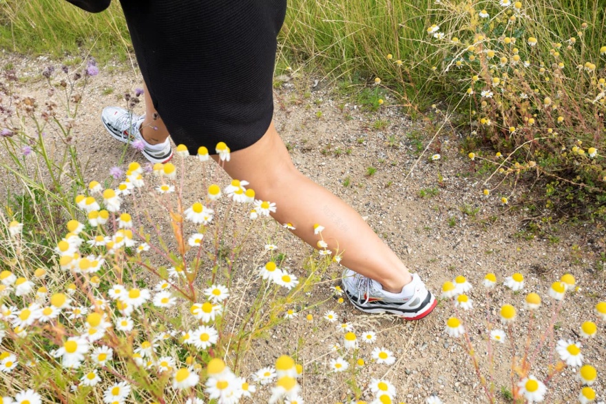 HVIDOVRE医疗保健中心-15