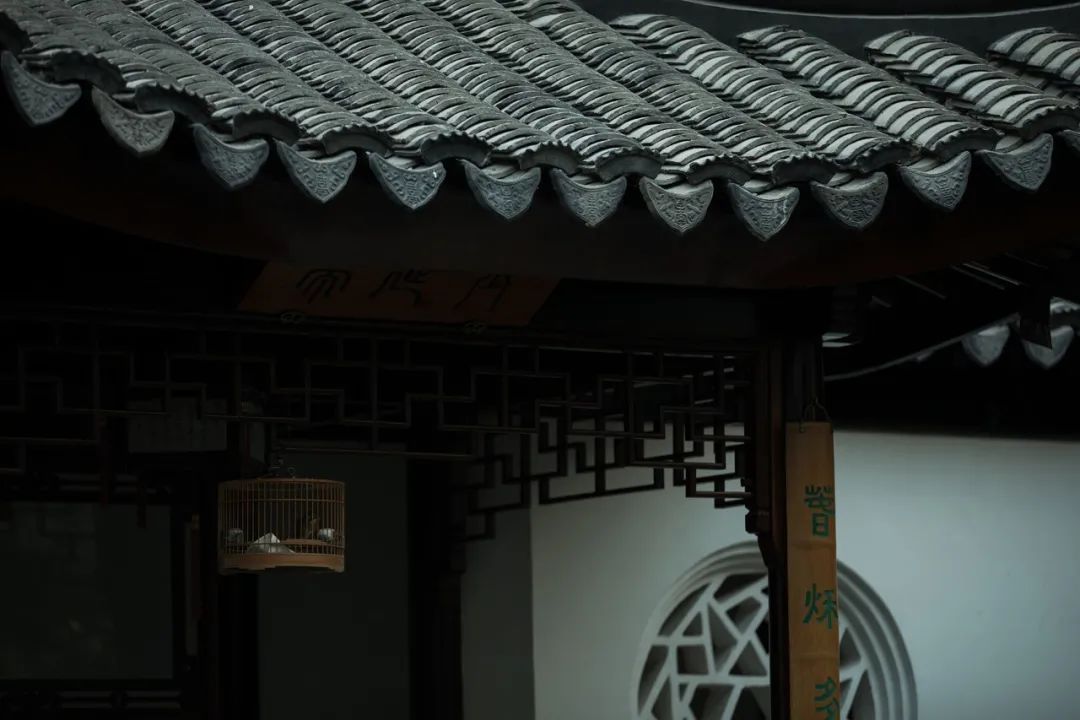 归心·乡愁 · 东坡记忆中的宜兴早春丨誰最中國-11