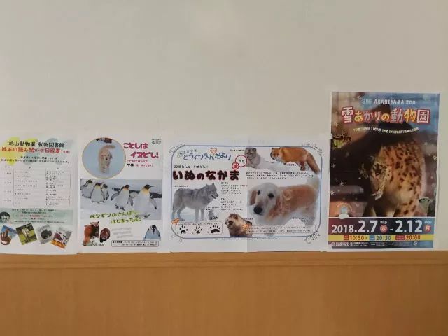 看看日本幼儿园环境细节,培养幼儿秩序感!-88