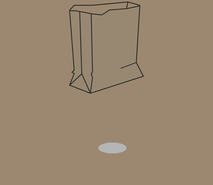 Project 6 - brownbag-9